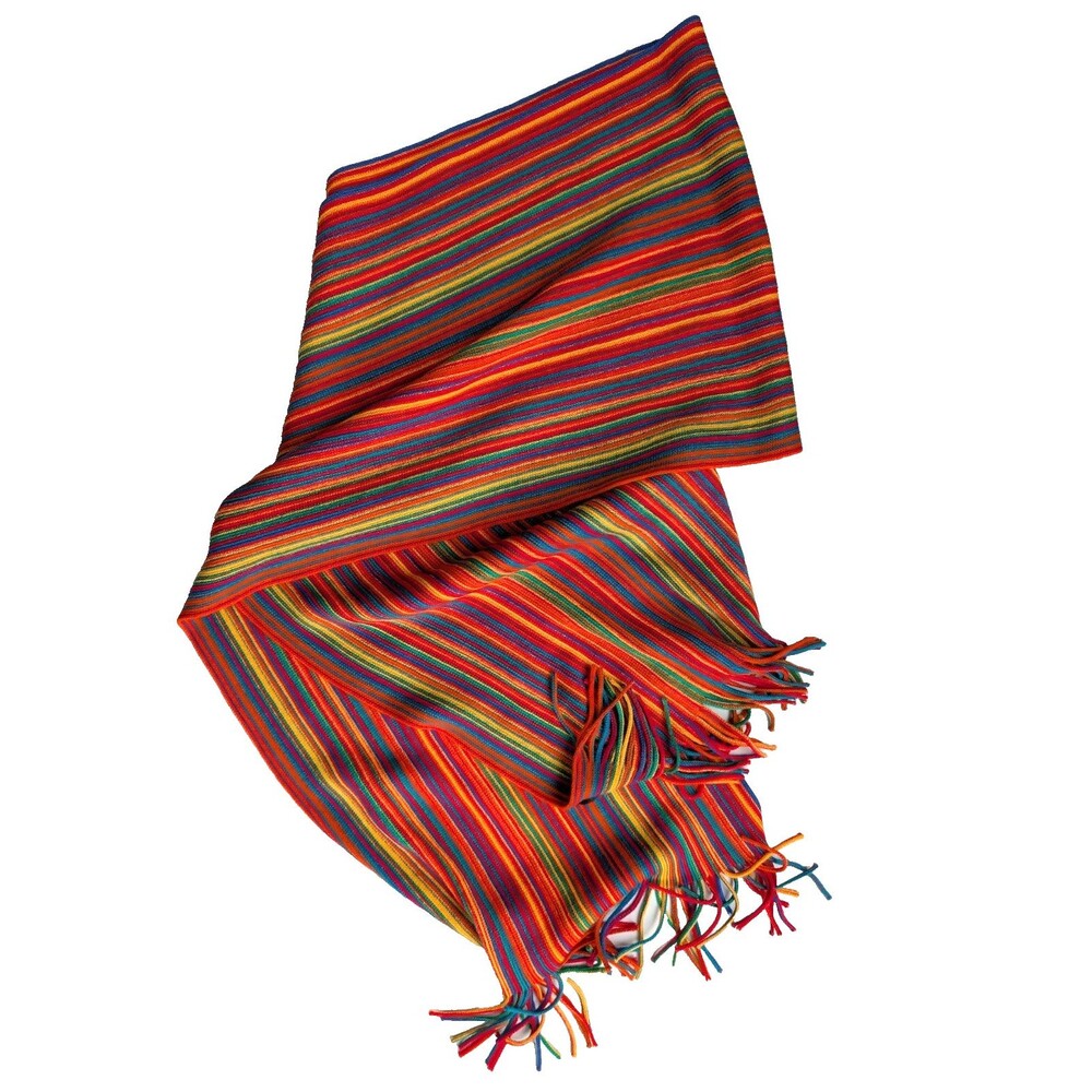 The Museum Of Modern Art MoMA Rainbow Stripe Knit Scarf Multicolor Fringe Wool